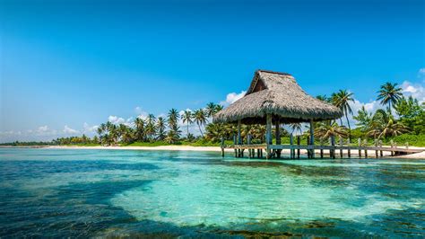 plus belle plage de punta cana|Les 11 plages de Punta Cana que vous devez absolument visiter